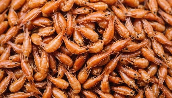 Crevettes séchées pour les poules et les oiseaux : Avantages et intégration dans le régime alimentaire